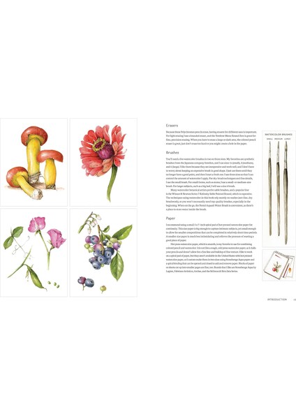 The Joy Of Botanical Drawing: A Step-By-Step Guide To Drawing And Painting Flowers, Leaves, Fruit, And More - Wendy Hollender