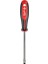 Trı-Lobe Tornavida Sl 1.0X5.5X125 1