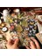 Stil 3 Vintage Orman Bitki Çiçek Kelebek Lazer Folyo Pet Dekoratif Sticker Önemsiz Dergisi Dıy Scrapbooking Kolaj Albümü Zanaat (Yurt Dışından) 3