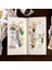 B 30 Adet Mohamm 30 Adet Su Geçirmez Pet Retro Bitki Çiçekler Dekoratif Sticker Scrapbooking Için Dıy Telefon Kılıfları Yaratıcı Kolaj Günlükleme (Yurt Dışından) 5