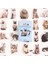 45 Adet 10/25/45 Adet Sevimli Kedi Fotoğrafları Yapışkan Etiket Estetik Günlüğü Çocuk Dekorasyon Kırtasiye Scrapbooking Okul Malzemeleri (Yurt Dışından) 1