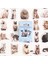 45 Adet 10/25/45 Adet Sevimli Kedi Fotoğrafları Yapışkan Etiket Estetik Günlüğü Çocuk Dekorasyon Kırtasiye Scrapbooking Okul Malzemeleri (Yurt Dışından) 2