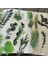 Stil 3 Pet Doğal Bitki Koleksiyonu Yeşil Yaprak Dekoratif Pvc Çıkartmalar Scrapbooking Etiket Günlüğü Kırtasiye Albümü Günlük Planlayıcısı (Yurt Dışından) 2