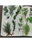 Stil 3 Pet Doğal Bitki Koleksiyonu Yeşil Yaprak Dekoratif Pvc Çıkartmalar Scrapbooking Etiket Günlüğü Kırtasiye Albümü Günlük Planlayıcısı (Yurt Dışından) 3