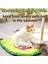 Süt Çay Yaz Aylarında Pet Buz Pedleri Soğutma Kedi Yatağı Kedi Halı Köpekler Için Evcil Hayvan Yatakları Oxford Kumaş Serin Bir Yaz Için Soğutma Malzemesi (Yurt Dışından) 4
