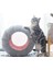 Mavi Sevimli Kabuk Kedi Yatak Evi Kapalı, Kedi Oyuncakları Top Interaktif Yumuşak Kedi Mağarası Katlanabilir Pet Tünel Tüp Kınamak Köpek Için Eğlenceli Oyuncak Yatak (Yurt Dışından) 5