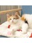 Şeftali Yaz Aylarında Pet Buz Pedleri Soğutma Kedi Yatağı Kedi Halı Köpekler Için Pet Yatakları Oxford Kumaş Serin Bir Yaz Için Soğutma Malzemesi (Yurt Dışından) 5