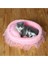 Pembe L 53X40CM Prenses Kedi Yatağı Yumuşak Dantel Pet Yatak Kediler Için Yavru Köpek Kanepe Sıcak Yuvarlak Evcil Hayvan Yuvası Yastık Minder ile Kedi Aksesuarları (Yurt Dışından) 5