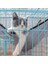 Sarı 50X40CM Kedi Hamak Yatak Asılı Evcil Hayvan Kafesi Hamak Yumuşak Kedi Evi Yastık Mat Yaz Soğutma Evcil Hayvan Sepeti Goblen Evcil Hayvan Aksesuarları (Yurt Dışından) 4