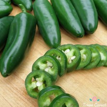 Ada Tarım 1000 Adet Biber Tohumu Jalapeno 100 De 100 Çimlenme Garantili.....