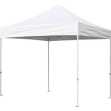 Lnshop Taşınabilir Gölgelik Çadır Yedek Kapak Kamp Yürüyüş Balıkçılık 3x3 M Beyaz (Yurt Dışından)