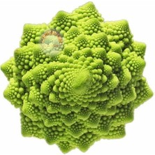 Zengarden Italyan Romanesco Brokoli Tohumu