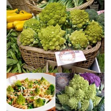 Zengarden Italyan Romanesco Brokoli Tohumu