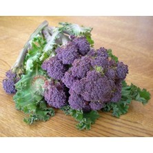 Zengarden Mor Brokoli Tohumu Atalık Broccoli Purple