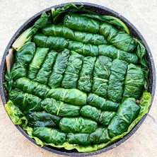 Zengarden Yerli Pazı Tohumu Chard