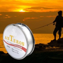Attract Levrek Sazan Balıkçılığı Için 164YDS Florokarbon Esnek Olta 0.6 91LB (Yurt Dışından)