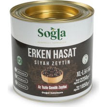 Soğla Bereketli Topraklar Doğal Erken Hasat Siyah Zeytin 2000 gr