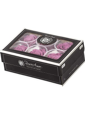 Rose Amor Vio-02 Menekşe Rengi Şoklanmış Solmaz Gül Xl 1 Kutu (6 Adet Gül)