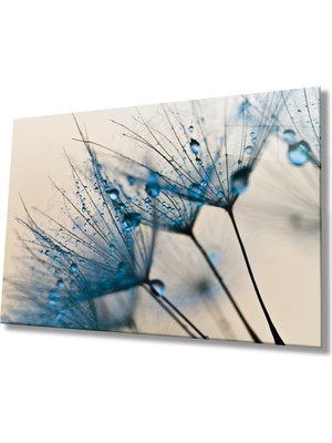 MiraLive Mavi Karahindiba  Cam Tablo