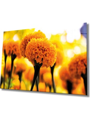 MiraLive Sarı Çiçek Cam Tablo Yellow