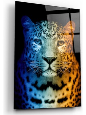 MiraLive Leopar Cam Tablo