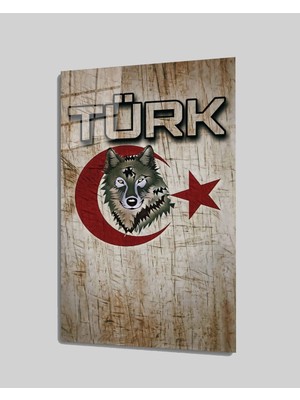 MiraLive Türk Yazılı