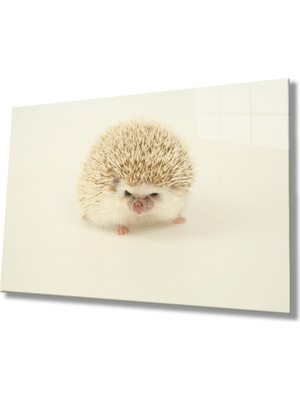 MiraLive Kirpi Hayvan  Cam Tablo