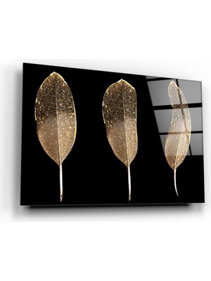 MiraLive Gold Tüyler Cam Tablo