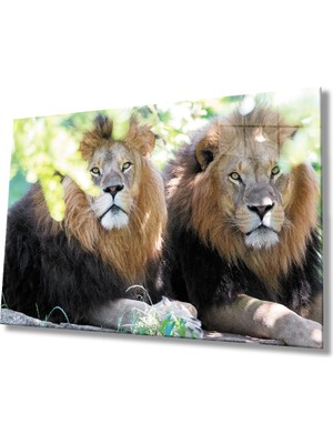 MiraLive Aslan Cam Tablo