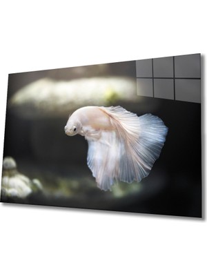 MiraLive Balık Cam Tablo