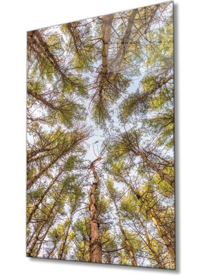 MiraLive Ağaçlar Cam  Tablo  Trees Painting