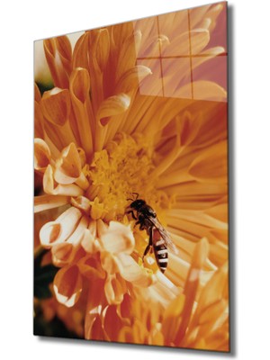 MiraLive Sarı Çiçek Arı Cam Tablo Yellow Flower Bee