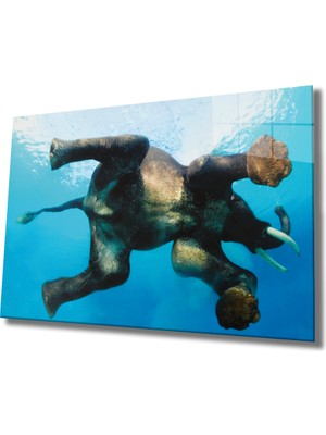 MiraLive Suda Fil Cam Tablo Elephant In Water