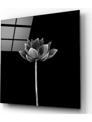 MiraLive Çiçek Cam Tablo