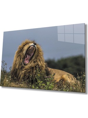 MiraLive Aslan Cam Tablo