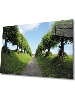 MiraLive Bahçe Cam Tablo