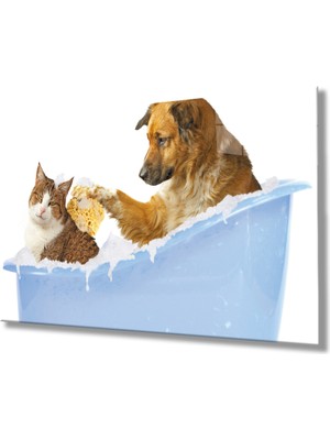 MiraLive Kedi Köpek Cam Tablo