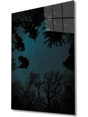 MiraLive Aşağıdan Yukarı Doğru  Ağaçlar Cam Tablo