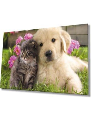 MiraLive Kedi ve Köpek Cam Tablo