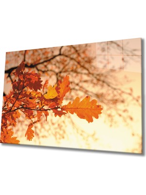 MiraLive Yaprak Cam Tablo