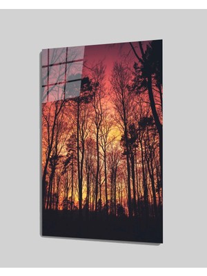 MiraLive Kızıl Tablo Tablo