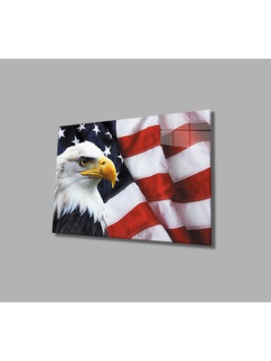 MiraLive Kartallı Amerika Bayrağı Cam Tablo American Eagle Flag