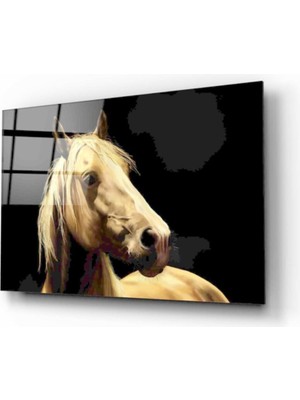 MiraLive At Cam Tablo