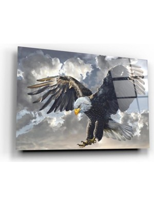 MiraLive Kartal Cam Tablo