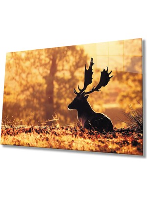MiraLive  Gün Batımında Geyik Sarı Cam Tablo