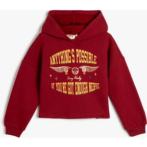 Harry Potter Kapşonlu Sweatshirt Lisanslı Uzun Kollu Şardonlu