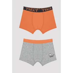 Erkek Çocuk Skeleton 2li Çok Renkli Boxer