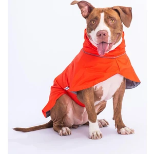 Colombia Turuncu Su Geçirmez Orta-Büyük Irk Köpek Pratik Yağmurluk