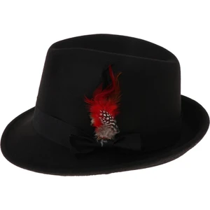Tüylü Fedora Ş Kadın Kış Düğün (Yurt Dışından)