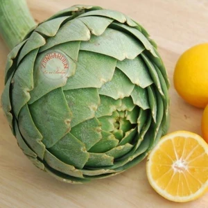 Yeşil Enginar Tohumu Atalık Artichoke Green Globe